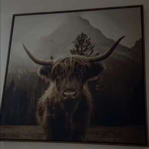 Highland Cow Wall Art